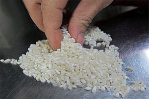 肠粉选米取材培训