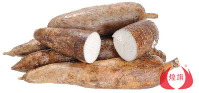 木薯粉是什么